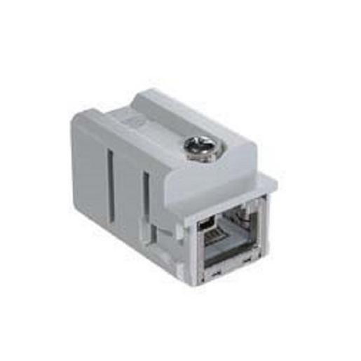 CJK 8FT Adapter, Gr.21.21, mit RJ45 Buchse-Buchs