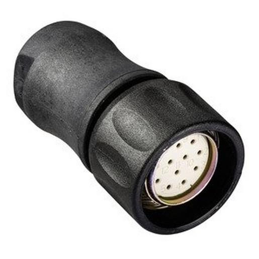 ( XZCC23FDP120S alt ) Buchse M23, 12-polig, Anschluss gerade,