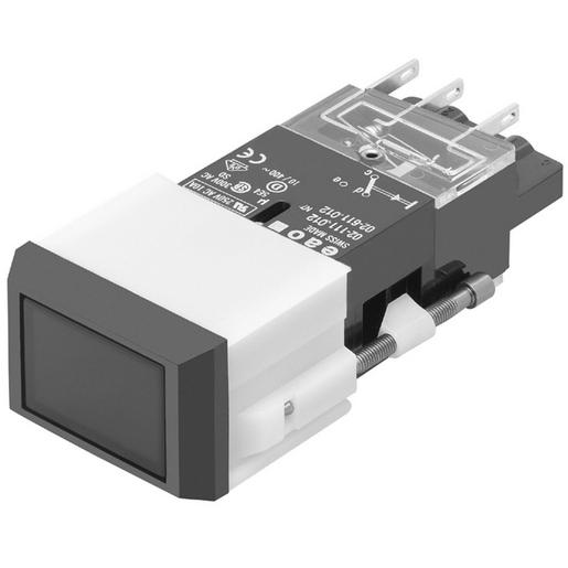 02-612.011 Drucktaste I SP 2 U SCH 24x36 Ag