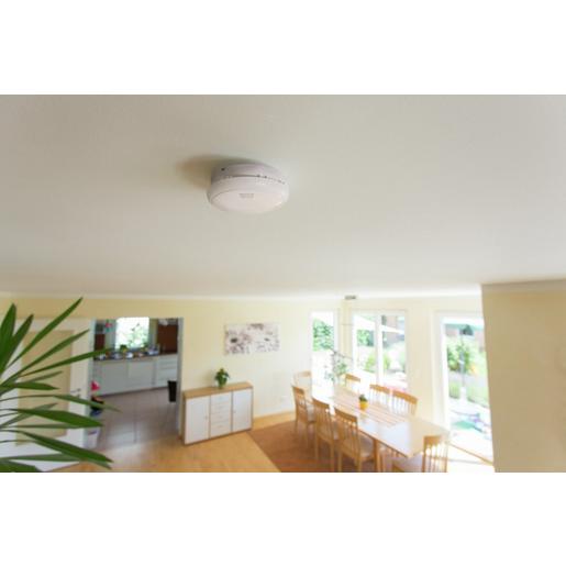 RM0010 Test-Spray für optische Rauchwarnmelder