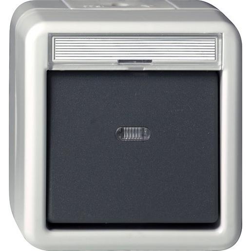 015630 Wipptaster Wechsler BSF WG AP Grau