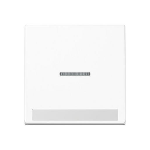 A 590 BF NA KO5 WW Wippe 1fach, mit Lichtleiter, mit Schrif