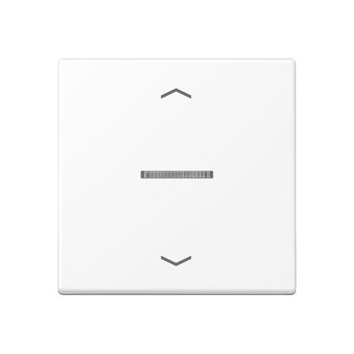 A 101 KO5P BF WWM Wippe mit Lichtleiter, mit Pfeilsymbolen