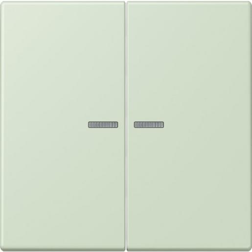 LC 995 KO5 218 Wippe 2fach, mit Lichtleiter, Duroplast