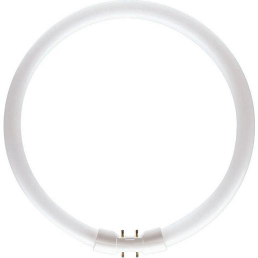 MASTER TL5 Circular 60W/830 1CT/10 MASTER TL5 Circular - Fluorescent lamp -