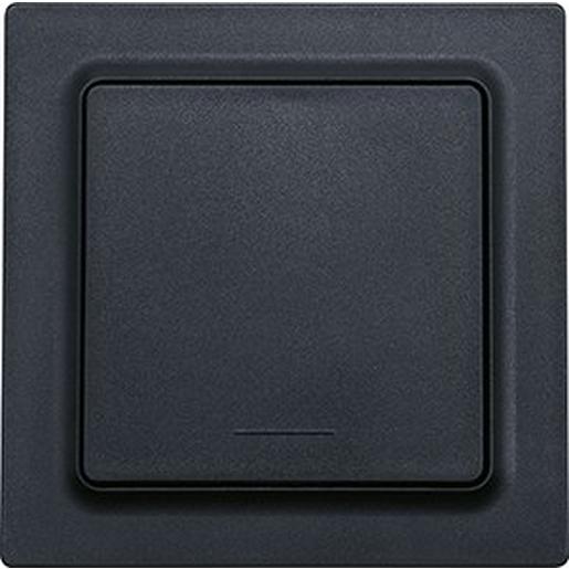 F1T55E-am Funktaster im E-Design55 batterie- und l