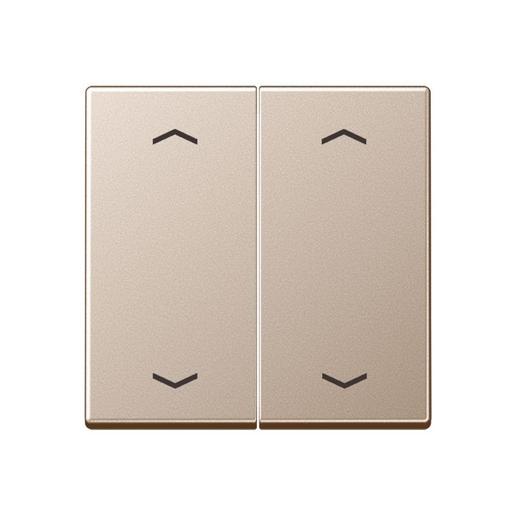 A 595 MP CH Wippe 2fach, mit 4 Pfeilsymbolen, Serie