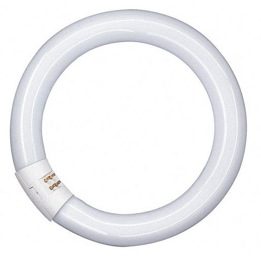 L 32 W/865 G10Q LUMILUX® T9 C 32 W/865 G10Q