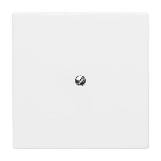 2138-34 Blindzentralscheibe mit Tragring