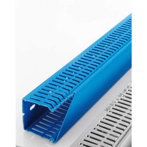 7531-1 Terminal Safety 40 x 80 mm, Blau RAL 501