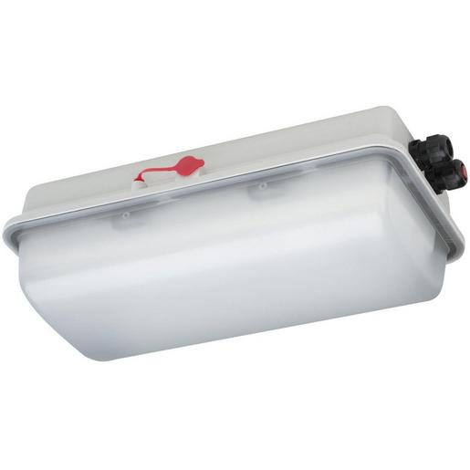 e855F L20 EX-LED-Kompaktleuchte EX-Zone 1/21/2/22