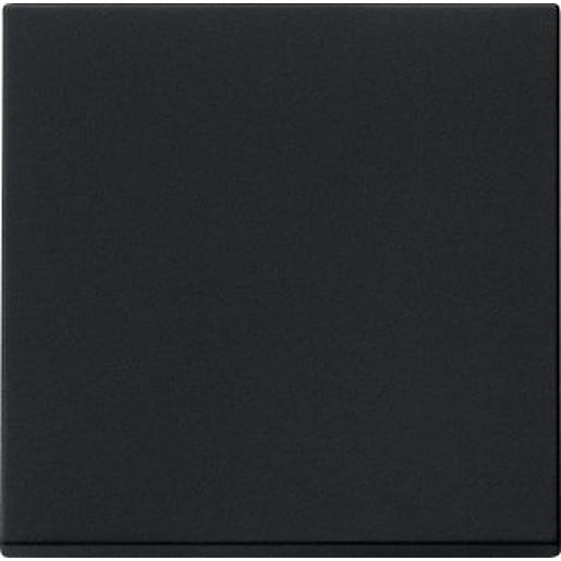 0916005 Wippe Tastschalter System 55 Schwarz m