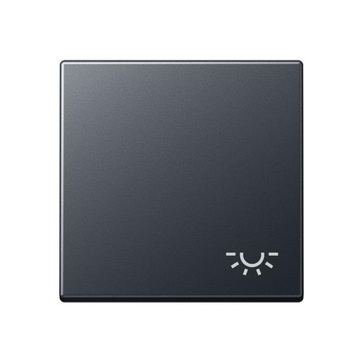 A 590 BF L ANM Wippe 1fach, Symbol Licht, Thermoplast l