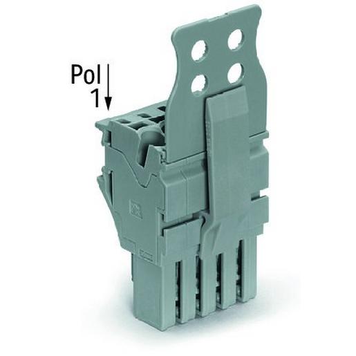 2022-108/145-000 1-Leiter-FederleistePush-in CAGE CLAMP®