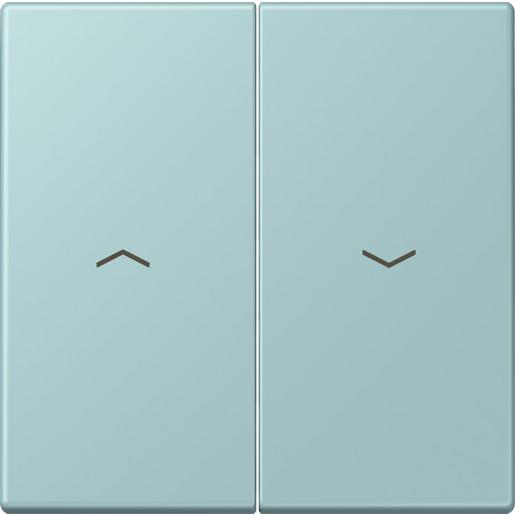 LC 995 P 214 Wippe 2fach, mit Pfeilsymbolen, Duroplas