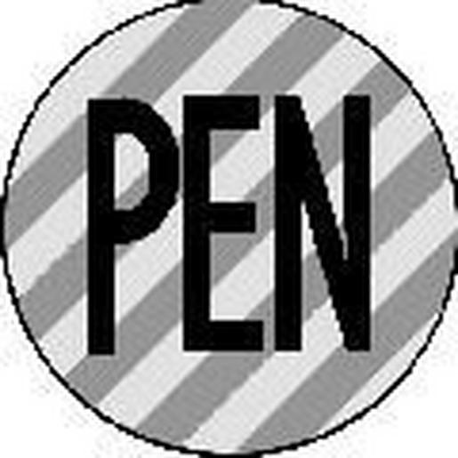 CIP-E-PEN Leiterkennzeichnung 31,5mm VPE: 10 Karte