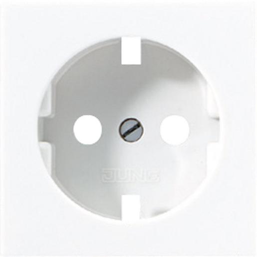 A 520 WW PL Zentralplatte für SCHUKO®-Steckdoseneins