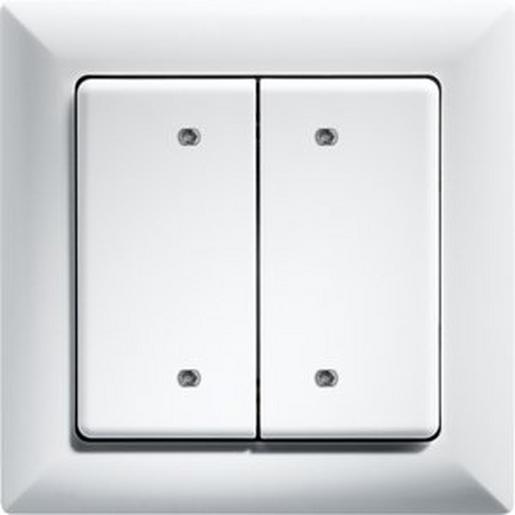 B4T55-wg Bus-2- oder 4-Kanal-Taster im E-Design,