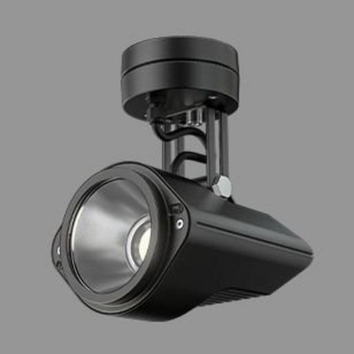 9721009461 ANTARES LED, 12W, ESG glasklar mit CDP-P