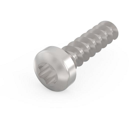 24560141 SCREW TORX PAN.2.5X9.3 (100PCS/KIT)