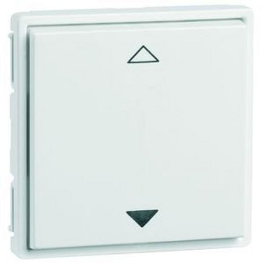 D 450.70 FU-BLS JR EnOcean Easyfit Wandsender 55 x 55mm,2 K