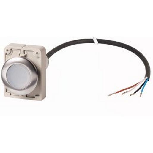 C30C-FDRL-W-K10-24-P62 Leuchtdrucktaste, flach, rastend, 1 S, K