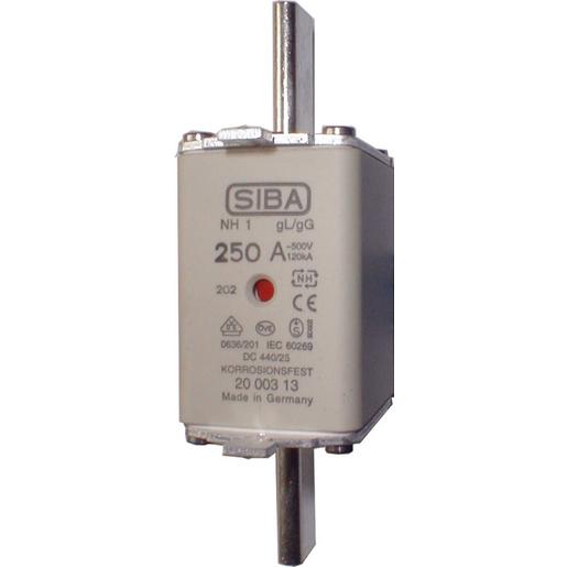 2021113100 NH1 100A gG 690V