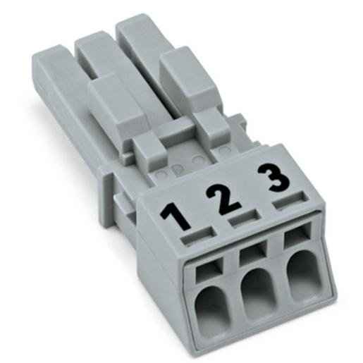 890-243 Buchse3-poligKod. Bgrau